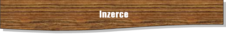 inzerce